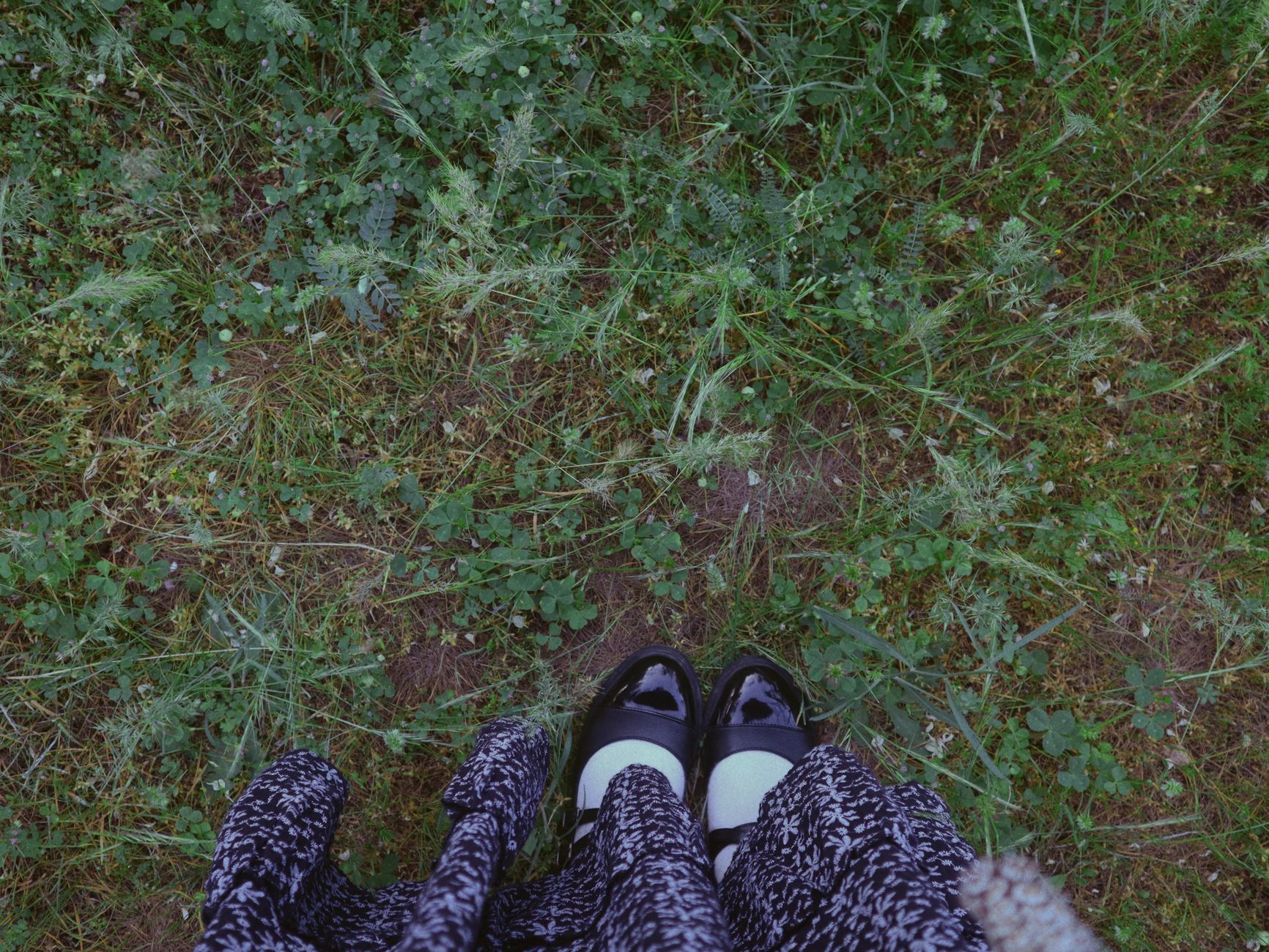 A view from above of stylish shoes and dress standing in a natural green meadow.