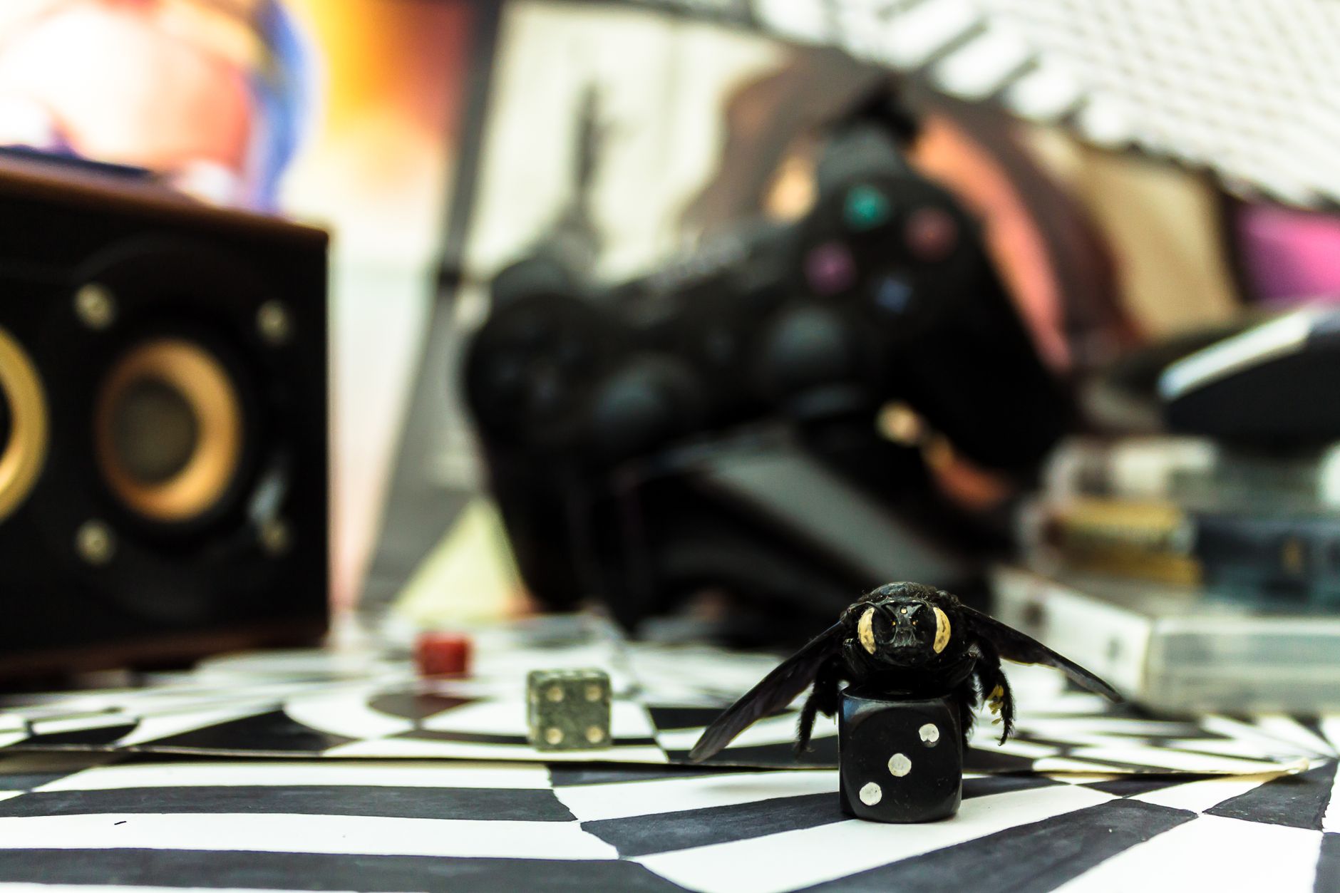 A bee perched on dice against a backdrop of gaming equipment, creating a surreal composition.
