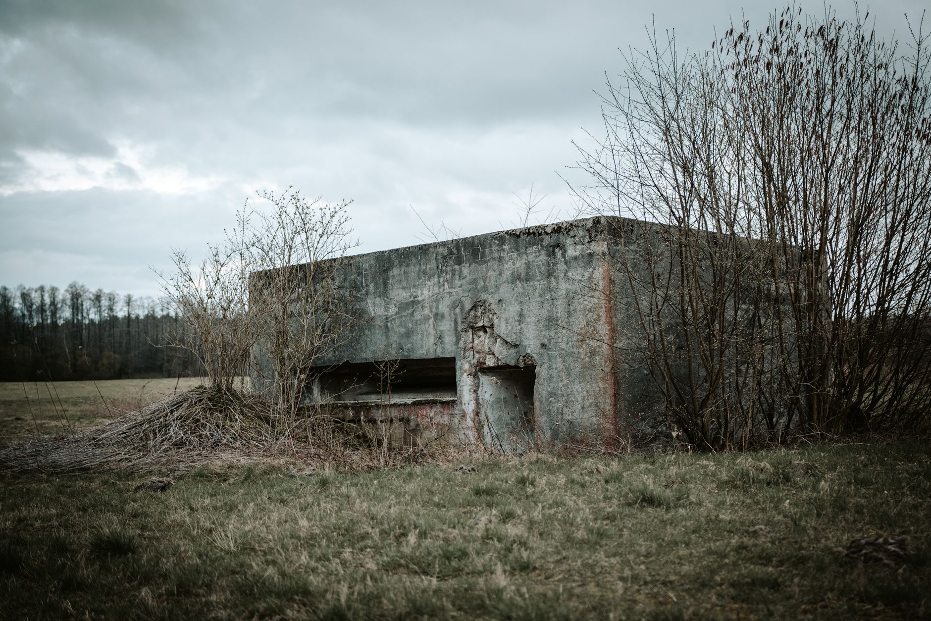 Abandoned concrete bunker in a grassy meadow in Ocieka, Poland, surrounded by overgrown vegetation.