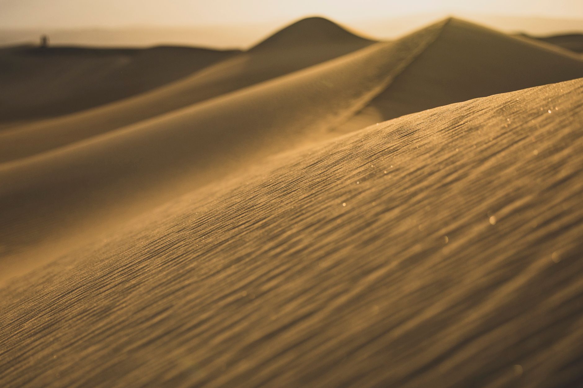 Captivating golden sand dunes during sunset, showcasing a serene desert landscape.
