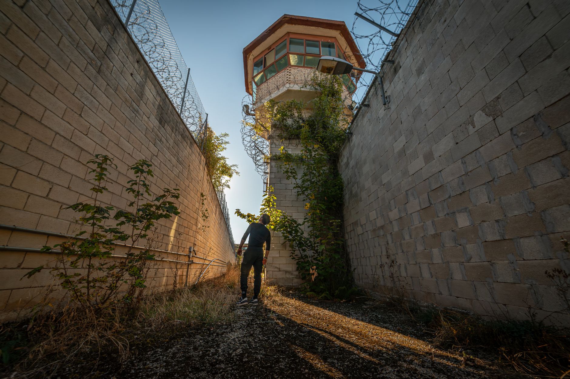 A lone man explores overgrown prison courtyard under bright light.