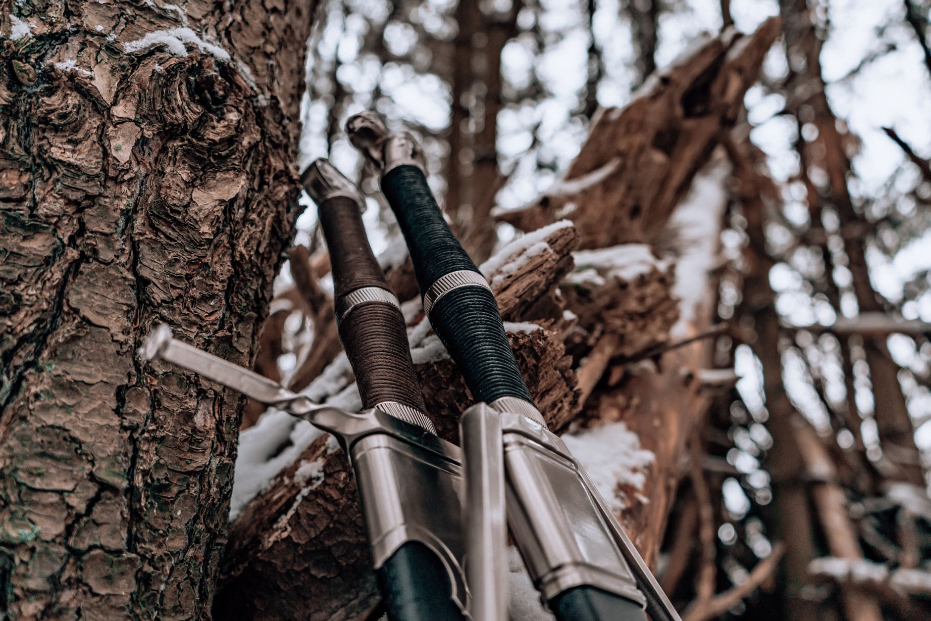 Detailed view of swords against a snowy tree in a winter forest setting.